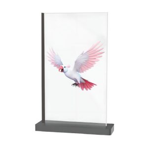 tiva-GTO-77-transparent-oled-standalone-v